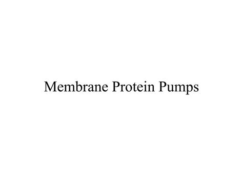 PPT - Membrane Protein Pumps PowerPoint Presentation, free download - ID:6810880