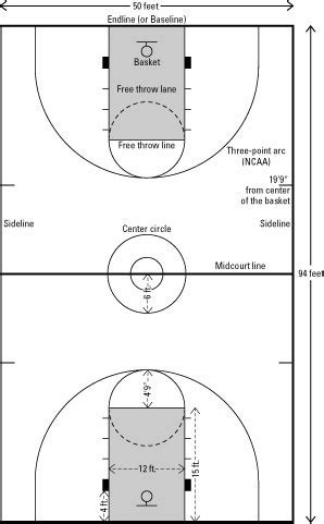 The Lines and Dimensions of a Basketball Court - dummies