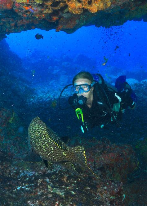 Best diving in Fernando de Noronha, Brazil - Travelling Contessa