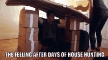 House Hunting Like... GIF - House Hunting House Hunting Like New House ...