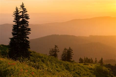 Golden mountain sunset | Brooke Hoyer | Flickr
