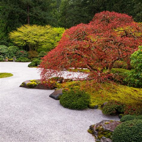 Japanese Zen Garden Plan