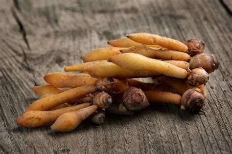 Galangal Substitute: 5 Exciting Alternatives for Your Recipes