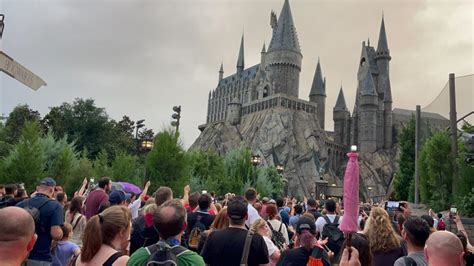 VIDEO: 'Harry Potter' Fans Raise Wands in Tribute to Michael Gambon at ...