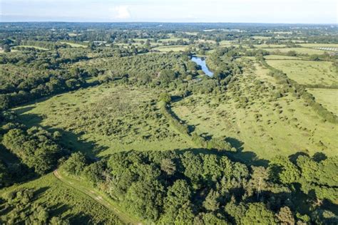 Visit to Knepp Rewilded - Hope Valley Climate Action