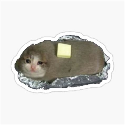 "sad potato cat" Sticker by orionsblackbelt | Redbubble