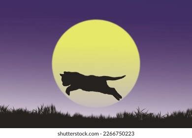 3,388 Cat Jumping Tree Images, Stock Photos & Vectors | Shutterstock