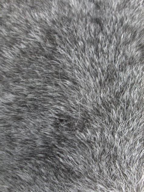 the fur texture is gray and white