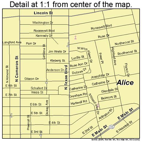 Alice Texas Street Map 4801852