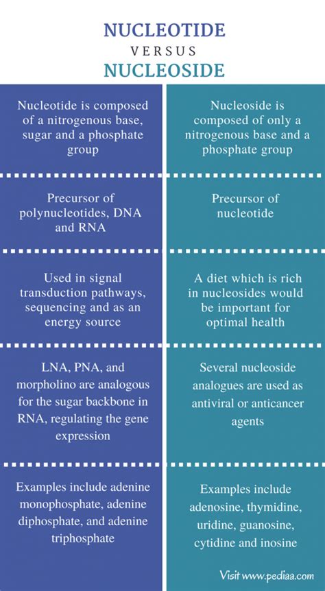 Difference Between Nucleotide and Nucleoside | Structure, Characteristics, Function