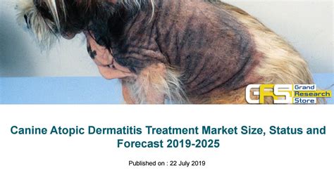 Canine atopic dermatitis treatment market size, status and forecast ...