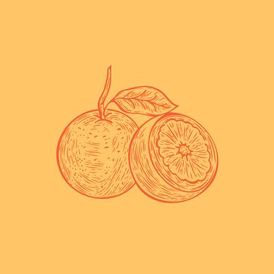 Orange Line Art Illustration by Hoot Design Studio on Dribbble