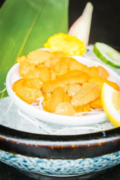 Uni sashimi stock image. Image of food, urchin, cooking - 92874245