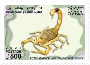 Stamp: Deathstalker Scorpion (Leiurus quinquestriatus) (Syria(Wildlife of Syria (2022)) Col:SY ...