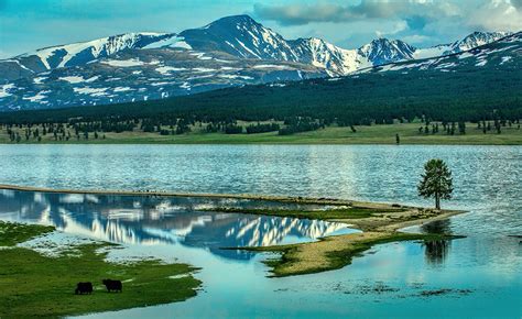 30 Remarkable Nature and Animal Photos of Mongolia