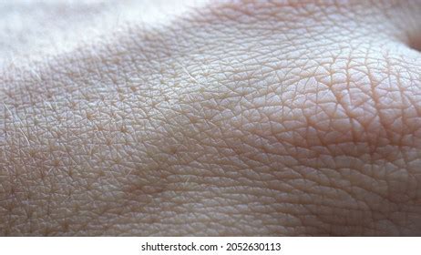 Human Skin Texture Hand Stock Photo 2015846252 | Shutterstock