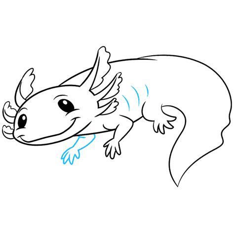 Axolotl Drawing Easy How To Draw An Axolotl Really Easy Drawing Tutorial | Images and Photos finder