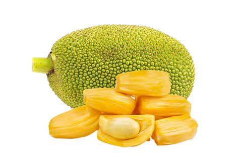 jackfruit png transparent background 29228739 PNG