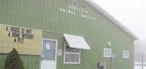 Gratiot Animal Shelter To Help Montcalm County After Closing - My 1043