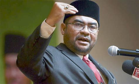 Mujahid: Islam, Malay rights were never under threat during PH govt ...