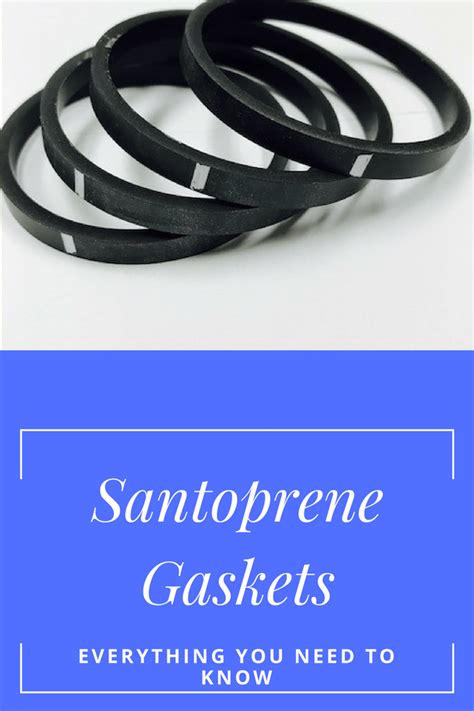 Everything You Need to Know About Santoprene Gaskets