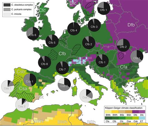 World Maps of Köppen-Geiger climate classification