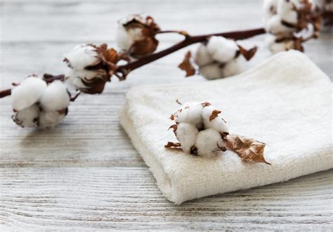 The Most Eco-Friendly Fabrics (and What to Avoid) - Eco18