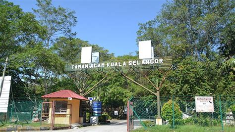 Kuala Selangor Nature Park – Visit Selangor