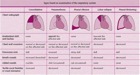 pulmonary sounds on oscultation and their meaning - Google Search ...