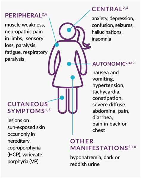 Acute Hepatic Porphyria Symptoms - Illustration, HD Png Download - kindpng