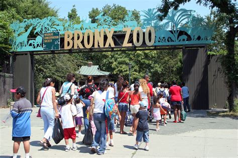 Bronx Zoo Wildlife Conservation Society | Bronx, NY | Attractions in The Bronx, Bronx