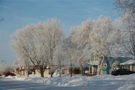 Winter in Iowa-usually | Outdoor, Favorite places, Places