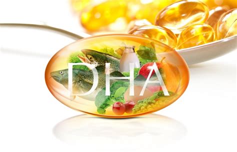 DHA Benefits – PM Foods