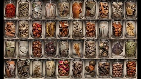 Traditional Chinese Medicine Herbs List And Their Benefits - Meds Safety