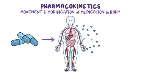 Pharmacokinetics: Drug absorption and distribution | Osmosis