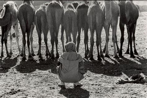 106 best Elliot Erwitt (1928) images on Pinterest | Elliott erwitt ...