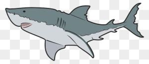 Great White Shark Clipart, Transparent PNG Clipart Images Free Download ...