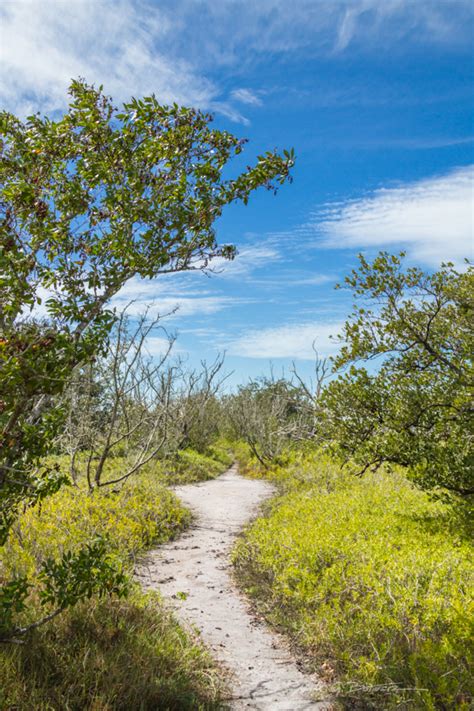 Hiking Florida – Flamingo, Everglades National Park | Nick Botner