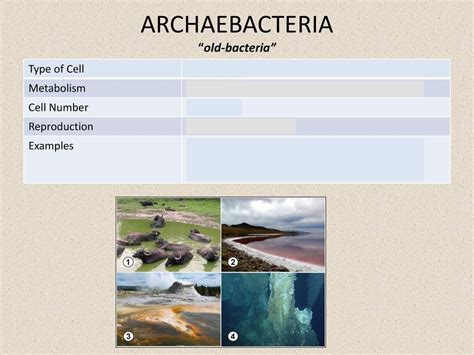 Hierarchy of Life. - ppt download