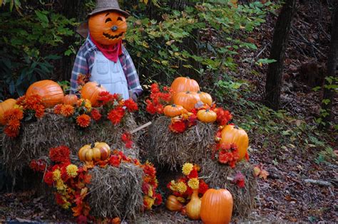 Cute. cute Scarecrow | Halloween scarecrow, Pumpkin colors, Fall decor