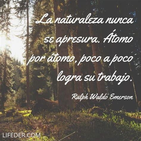 100+ Frases de la Naturaleza para Cuidarla y Conservarla (cortas)