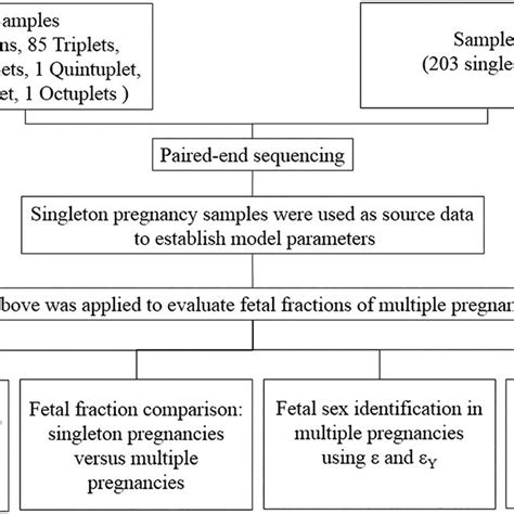 Workflow of fetal DNA fraction estimation and aneuploidy detection in... | Download Scientific ...