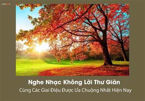 Nghe Nhạc Không Lời Thư Giãn Cùng Các Giai Điệu Được Ưa Chuộng Nhất ...