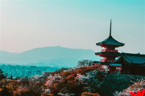 Free stock photo of aerial view, japan, japanese culture