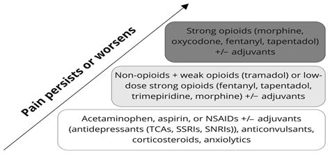 Pharmaceutics | Free Full-Text | Pharmacogenetics and Pain Treatment with a Focus on Non ...