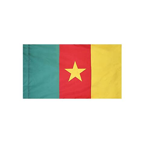 Cameroon Flag - Indoor & Parade with Polesleeve - Kengla Flag Co