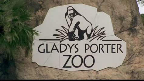 Gladys Porter Zoo - Visit Brownsville Texas