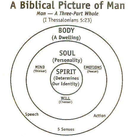 Mind Body Spirit Diagram