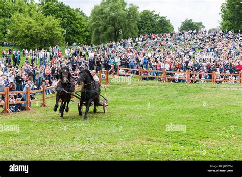 Battle scenes in ancient greece hi-res stock photography and images - Alamy