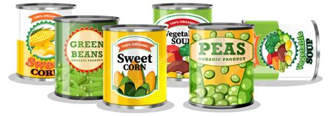 Premium Vector | Canned food vegetable isolated